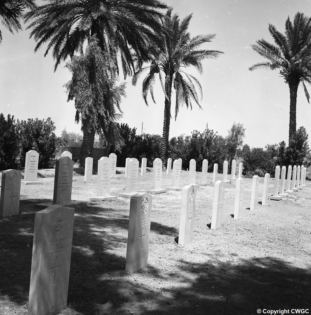 Rows of upright headstones with service badges and kerbs intact, the cemetery wall and palm groves visible beyond. Copyright CWGC.