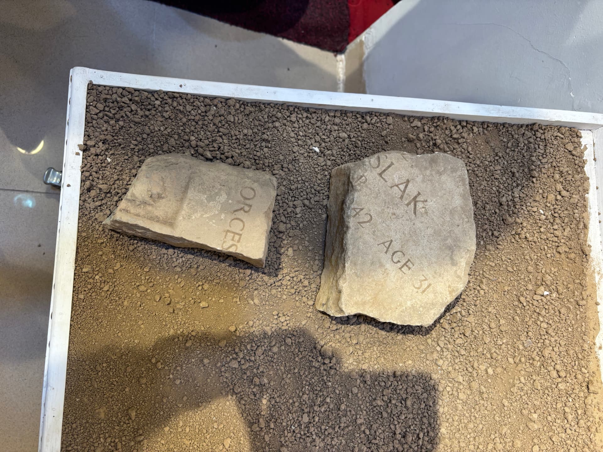 Two fragments displayed together, one reading ORCES and the other carrying a surname ending in SLAK with the year 1942 and the age 31.