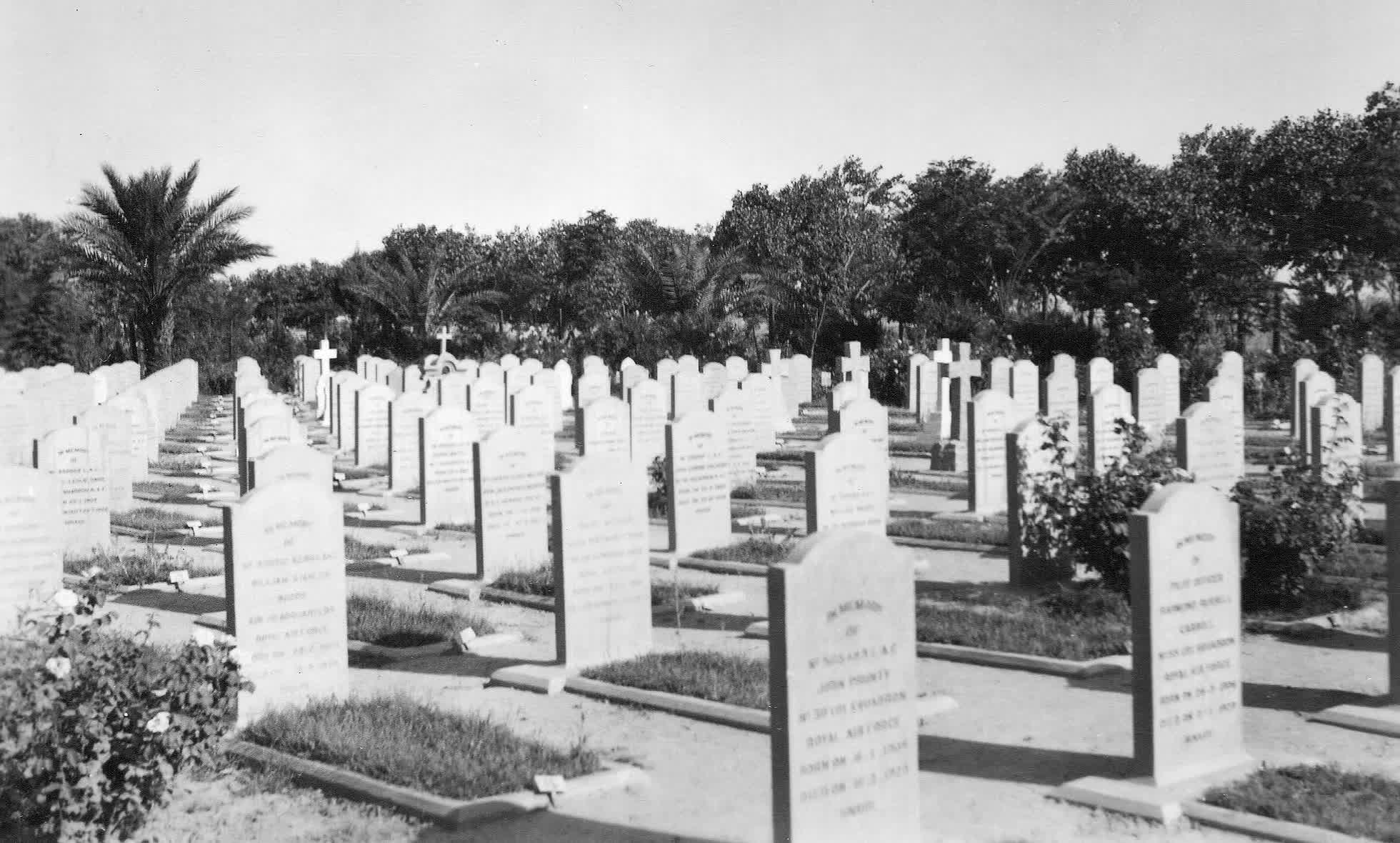 The cemetery in 1929, by then laid out with permanent headstones in ordered rows, grassed and kerbed plots, roses along the paths and date palms behind.