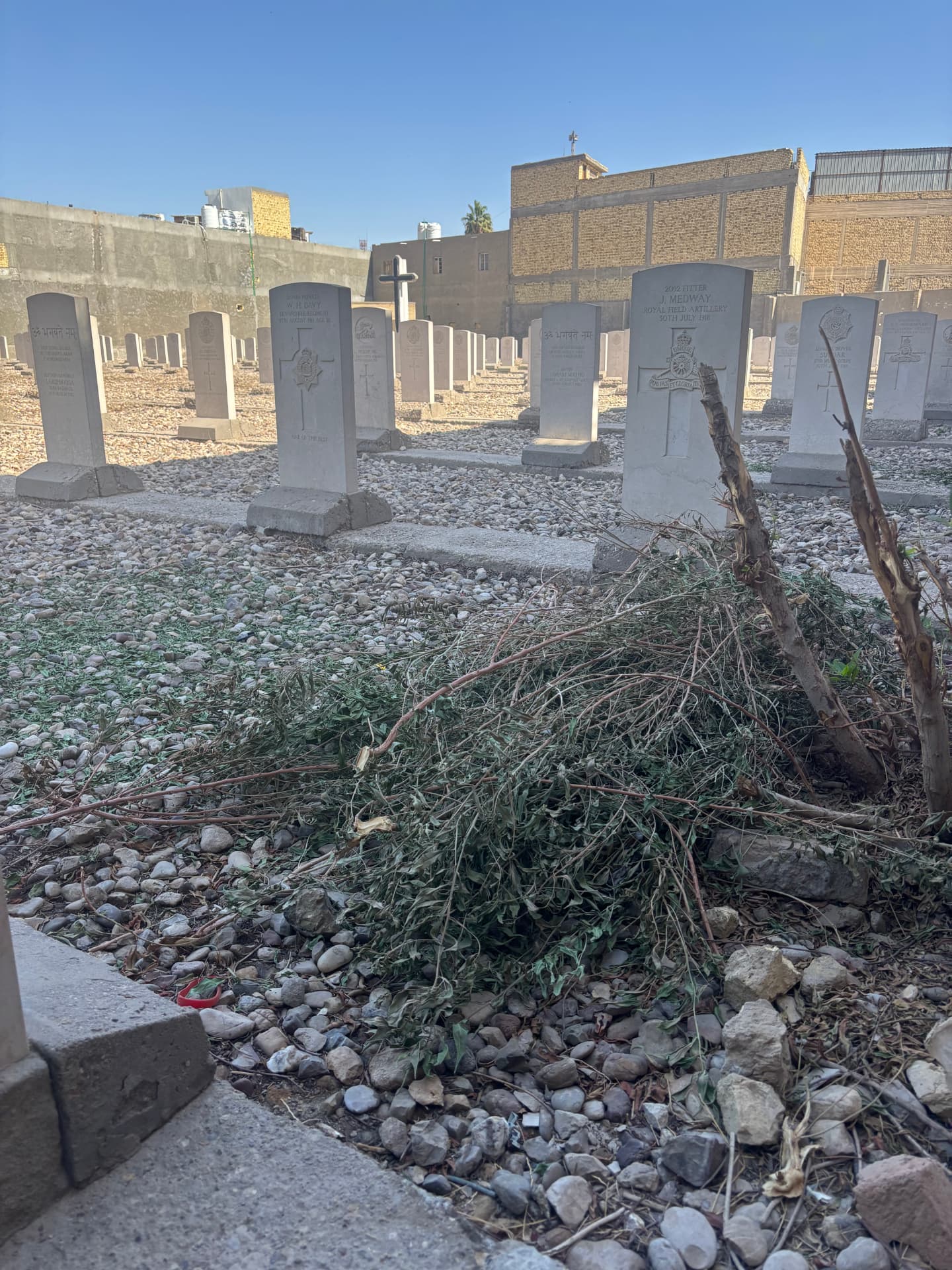 Cut shrubs left lying among the graves. The planting put in at the renovation, shown healthy in photographs from 2019, is now dead, and maintenance is far beyond the resources of the local key holder.
