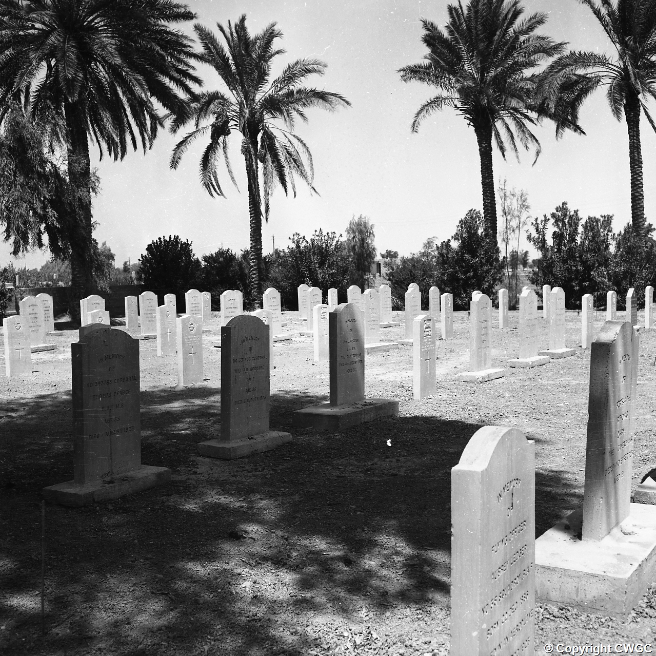 Headstones of RAF and Army personnel beneath the date palms, including Corporal Thomas Pearce, RAFMS, died 7 August 1927. Copyright CWGC.