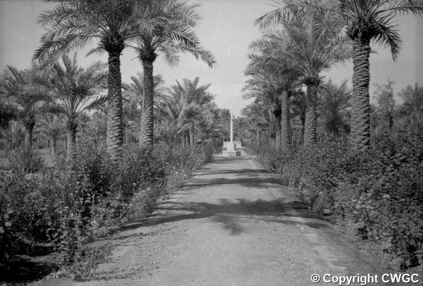 The principal avenue through the cemetery, lined by mature palms and flowering borders, with the Cross of Sacrifice in the distance. © CWGC.