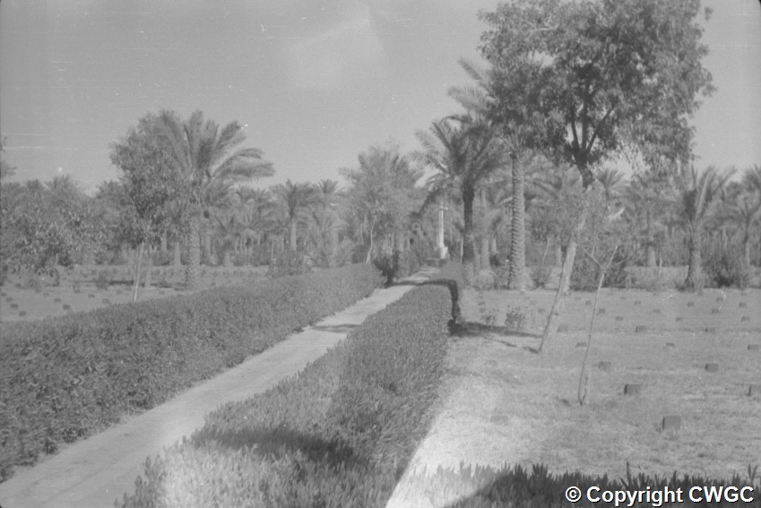 A path bordered by trimmed hedges runs between plots of headstones, framed by palms and trees, when the cemetery was maintained as a garden. © CWGC.