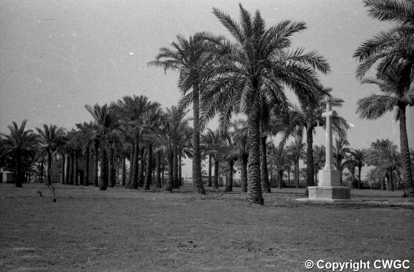 An early view across the cemetery lawns, with the gatehouse just visible at far left and the Cross of Sacrifice standing among the avenue of mature date palms at right. © CWGC.
