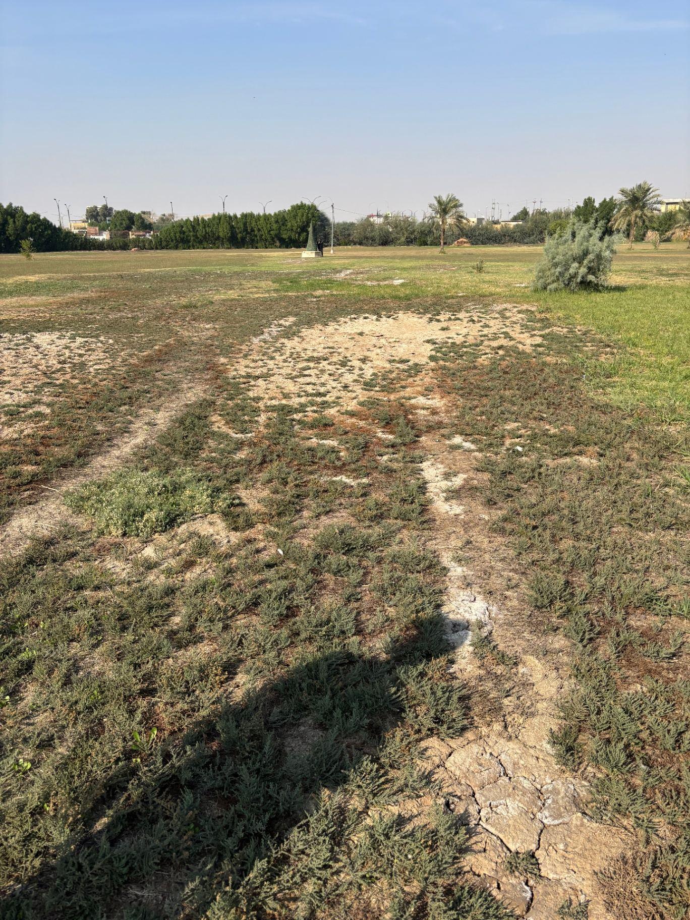 Looking across the open grounds of the cemetery towards the surviving pedestal of the Cross of Sacrifice in the distance, with the salt-scarred ground in the foreground showing the harsh saline soil that destroyed the original headstones.
