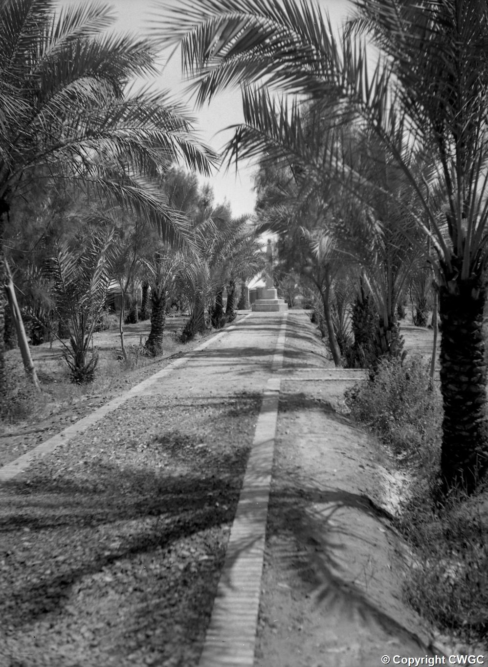 The avenue of date palms leading to the Indian Forces Memorial, with the obelisk visible in the distance at the end of the path. © CWGC.