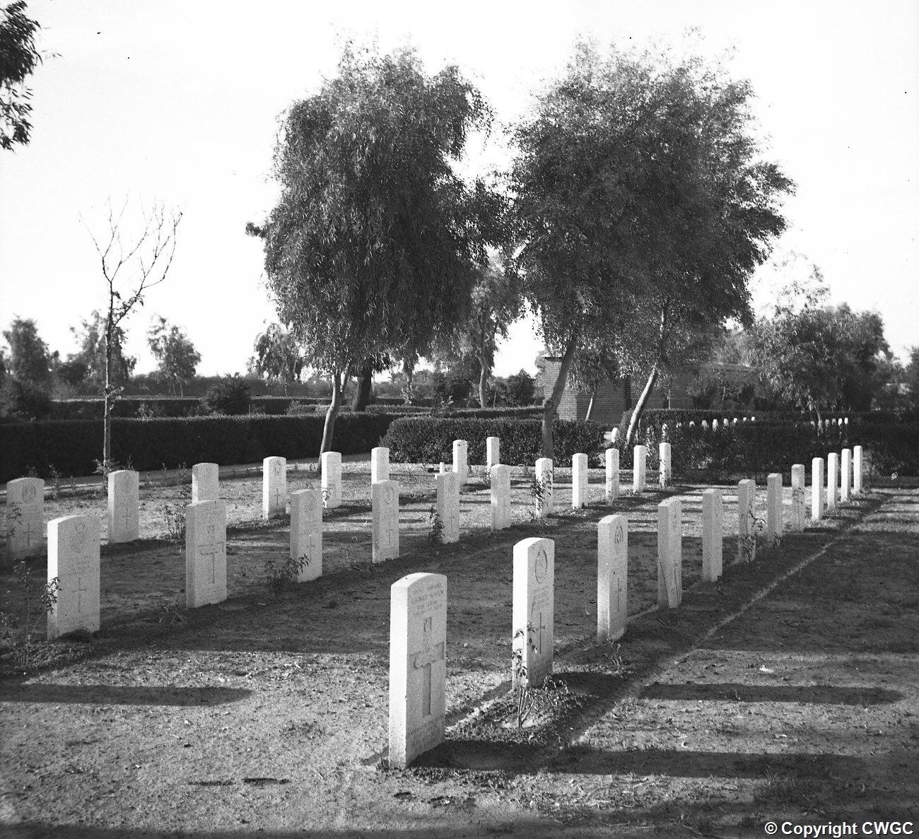 Plot 8 photographed in soft afternoon light, with neatly aligned headstones, planted borders and clipped hedges, framed by mature trees rising behind. © CWGC.