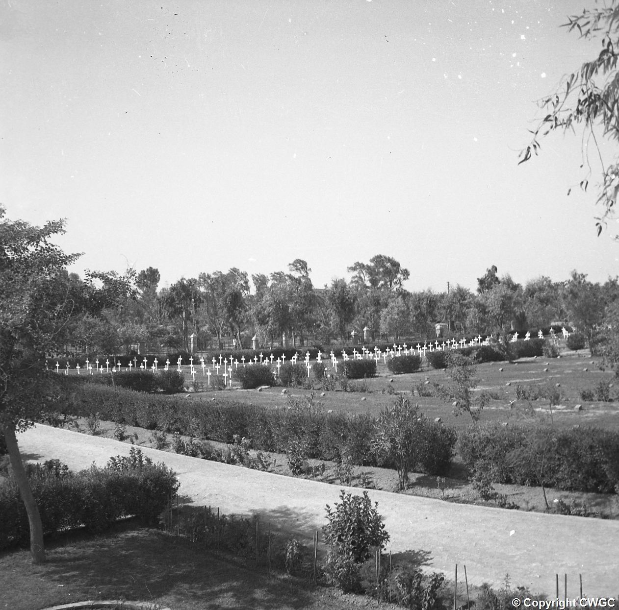 A wider view across the cemetery showing rows of temporary Second World War wooden crosses in the middle distance, with the Memorial Wall and First World War commemorations beyond, set among gardens, paths and mature trees. © CWGC.