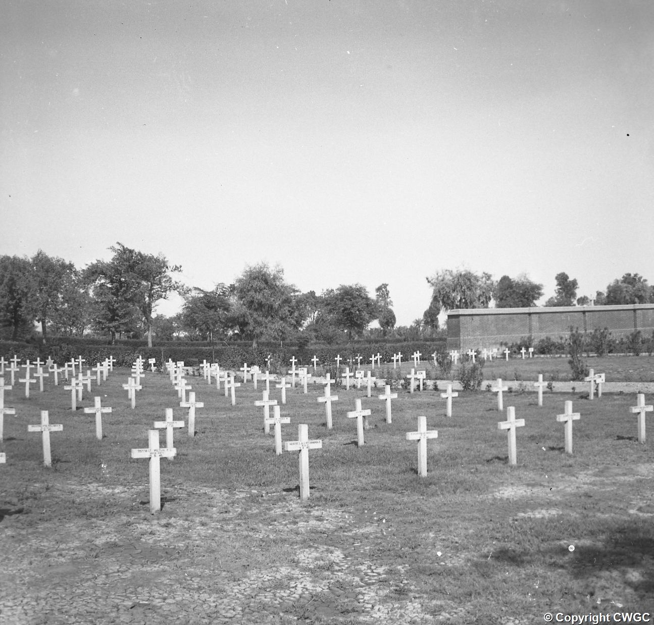 Temporary wooden crosses marking Second World War burials at Basra War Cemetery, set out in ordered rows with name plaques attached, with the Memorial Wall visible at right beyond the hedge. © CWGC.