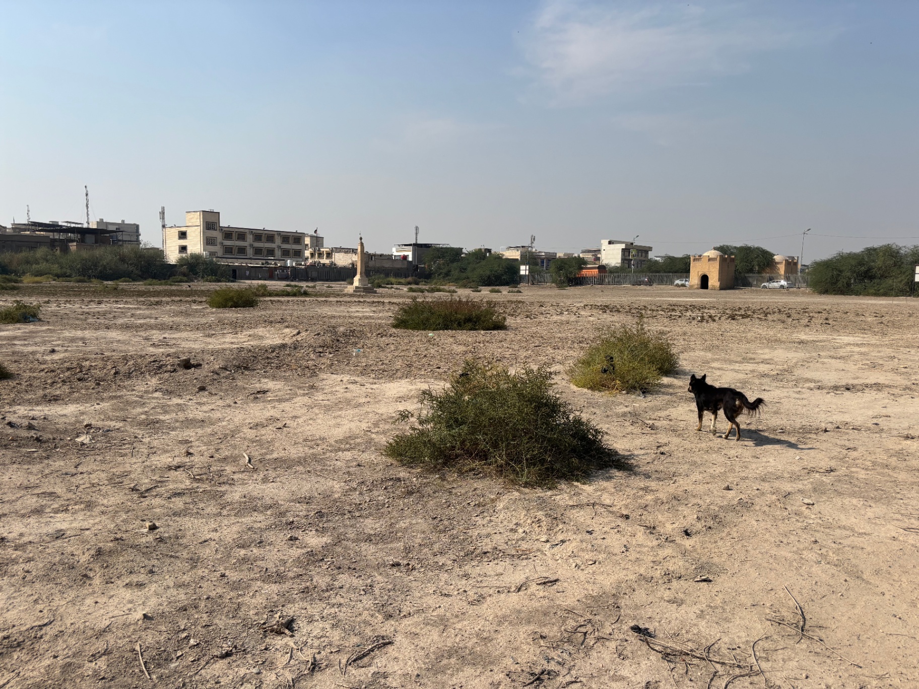 The Indian Forces side of Basra War Cemetery today, reduced to bare ground and scrub, with the obelisk and Cremation Memorial gatehouse visible in the distance beyond the perimeter fence. A stray dog crosses the foreground. Photo: Shane Potaka.