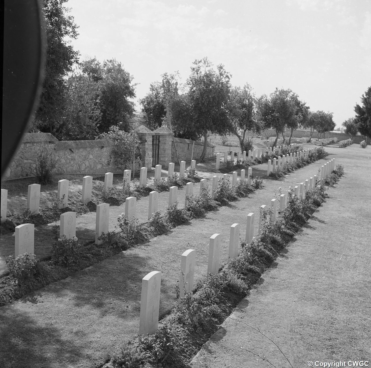 Rows of headstones with rose borders leading towards the boundary wall and the small shelter building at the cemetery gate. © CWGC.