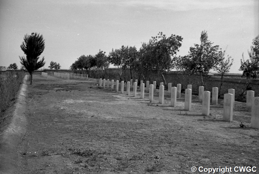 An early view along the newly set headstones beside the perimeter wall, with young trees and a poplar marking the corner of the plot. © CWGC.