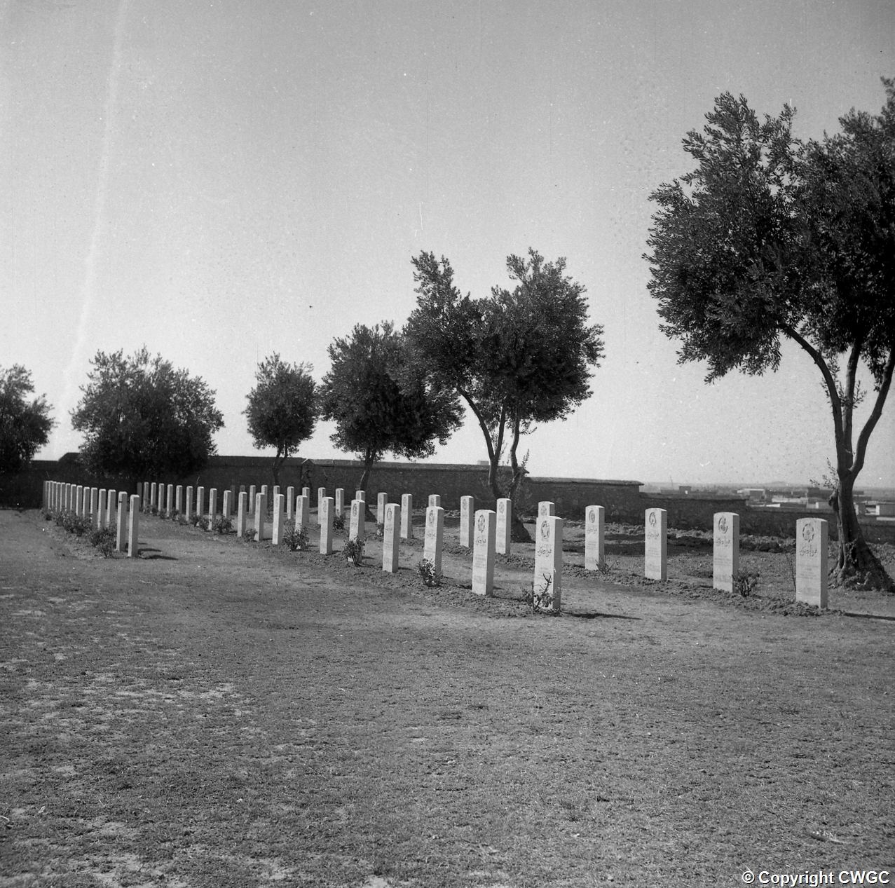 A long line of permanent headstones set beneath young trees along the cemetery boundary. © CWGC.